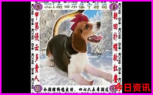 12月去哪里旅游最好